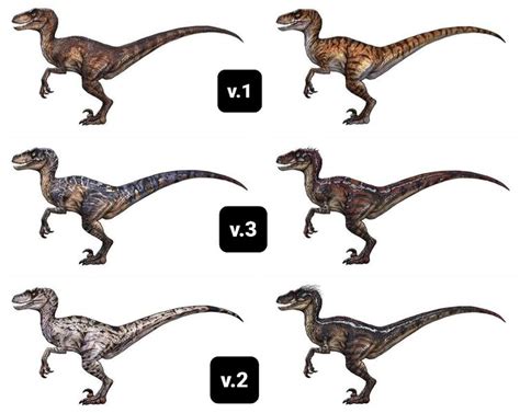 Velociraptor V3 Fandom
