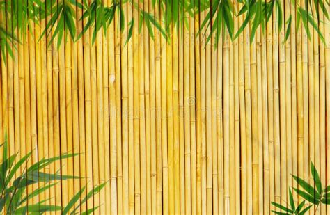 Bamboo Background Light Golden Bamboo Background Great For Any Project Frame O Sponsored