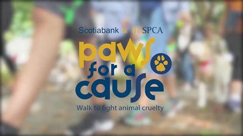 Case Study - BCSPCA Paws for a Cause Showcase - YouTube