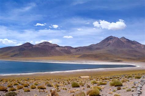 Exploring Atacamas Salt Flats And Altiplanic Lagoons