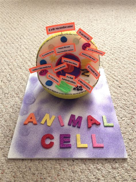 Cell division allows for growth and replacement of dead cells. Animal Cell for Mekayla's Biology Class | Animal cell ...