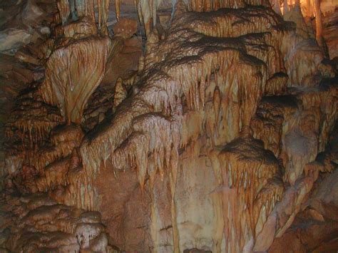 Mammoth Caves Travel Attractions Facts And Location