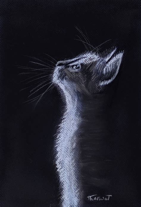 Original Pastel Painting Cat Etsy