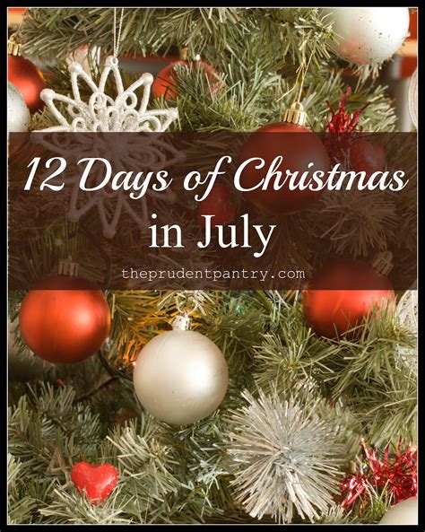The Prudent Pantry Twelve Days Of Christmas In July Day 5 Advent
