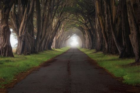 Grey Concrete Road Landscape Trees Road Hd Wallpaper Wallpaper Flare