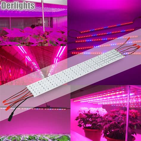Phlizon`s cob series grow light emits all the wavelengths of light which can be fully absorbed by the plants to create. Led Plant Grow Light 5pcs 0.5m 10W DC12V SMD5050 LED Grow ...