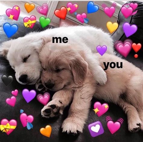 Cute Wholesome Memes For Crush Ok News