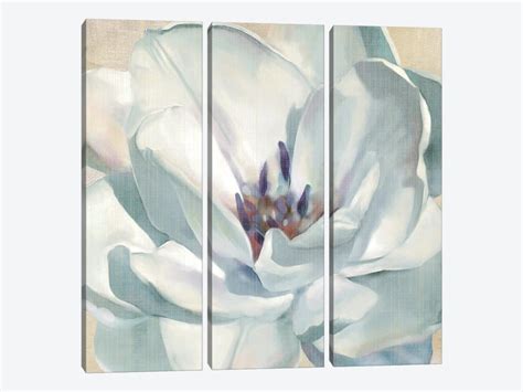 Iridescent Bloom Ii Canvas Art By Carol Robinson Icanvas