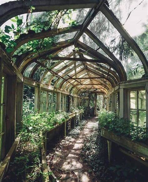Overgrown Greenhouse Hallway Album On Imgur Dream Garden