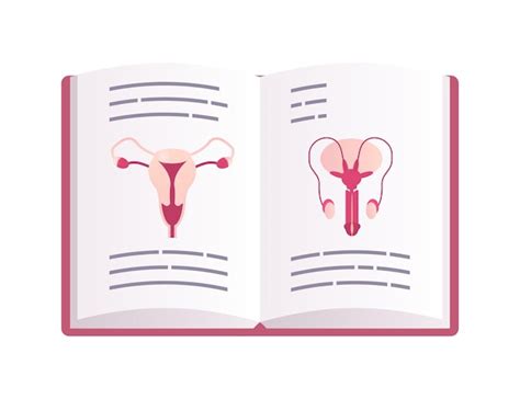 Livro sexual aula de biologia humana e anatomia educação sexual saúde