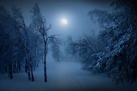 Free Download Winter Moon By 800x536 For Your Desktop Mobile