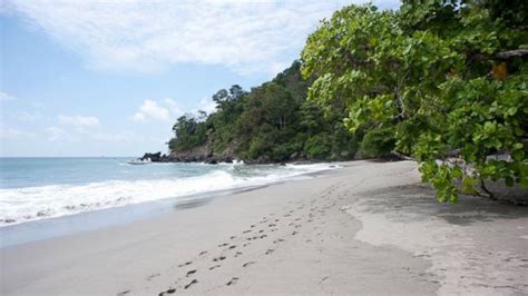 Costa Rica Beach Girls Nude Slimpics The Best Porn Website