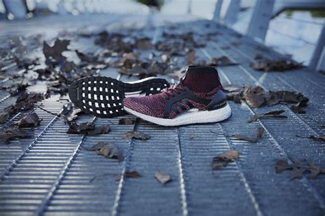 New Adidas Ultraboost Running Shoes Prischew Dot Com
