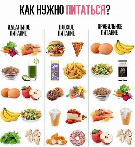 Заказ еды диета малышевой Готовая Еда Для Похудения Правильное | Healthy food dishes, Nutrition Готовая Еда Для Похудения Правильное | Healthy food dishes, Nutrition Заказ еды диета малышевой