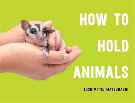 How To Hold Animals Ebook Toshimitsu Matsuhashi 9781982155933
