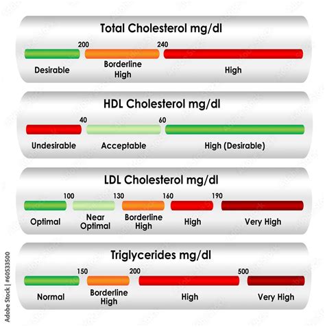 Cholesterol chart in mg/dl units of measure Stock-Illustration | Adobe