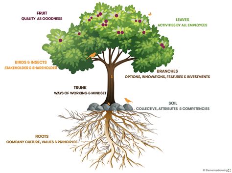 Was Bäume und Unternehmen gemeinsam haben elementartraining
