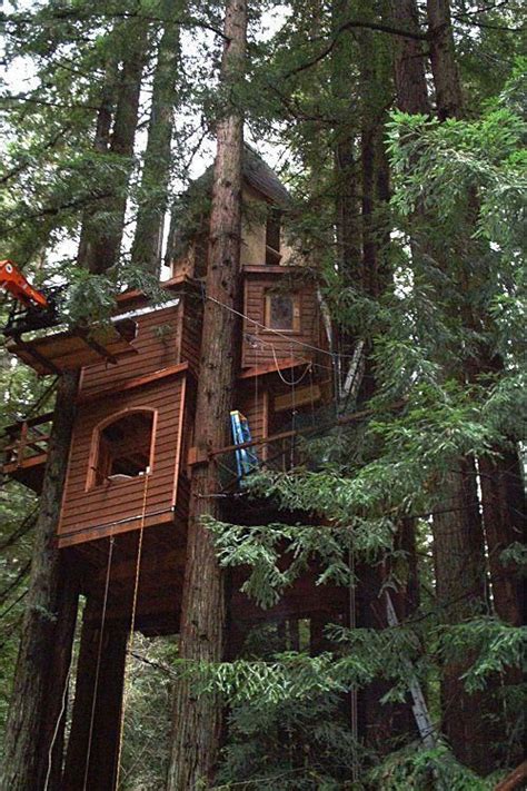 The 10 Most Beautiful Tree Housesyour Inner Child Is About To Be