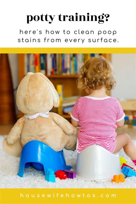 How To Clean Poop From Clothes Rugs And Other Surfaces Housewife