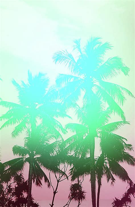 Palm Tree Sunset Drawing At Explore Collection Of