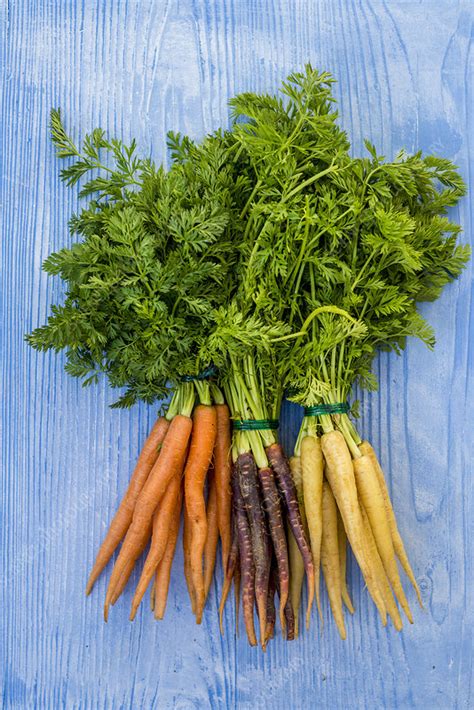 Heritage Carrots Stock Image F0116625 Science Photo Library