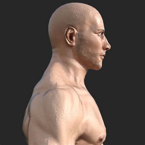 3d Rigged Male Muscular Game Ready Model 3d Model 15 Fbx Obj Unknown Max Free3d