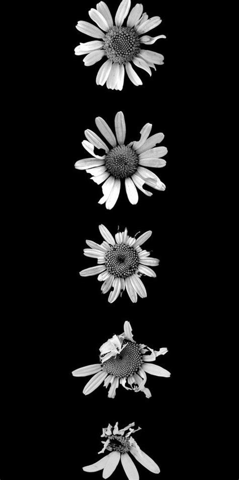 Imágenes en blanco y negro bien profundas. imagenes tumblr blanco y negro - Buscar con Google | jaz ...