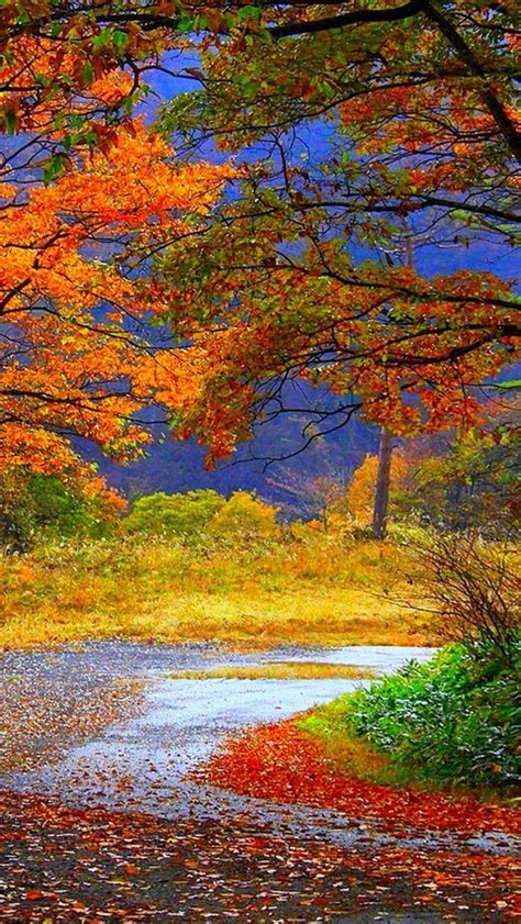 Awesome Fall Colors Autumn Scenery Scenery Fall Colors