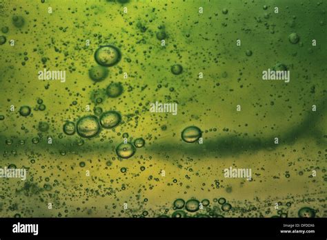 Green Abstract Blurred Liquid Background With Soap Bubbles Stock Photo