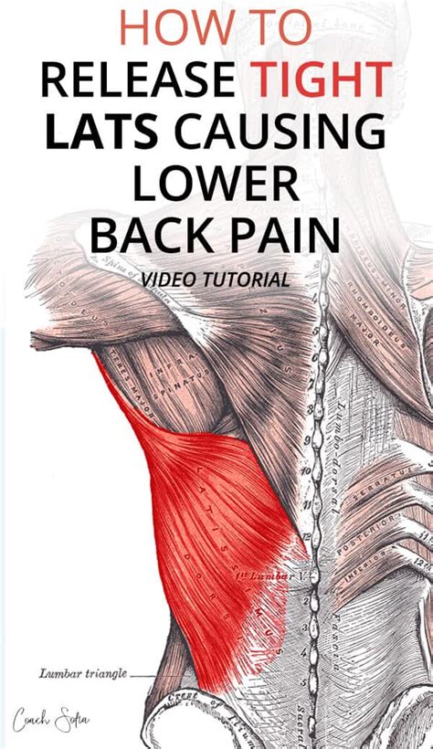 Low back pain refers to pain that you feel in your lower back. How To Release The Latissimus Dorsi Without Stretching ...
