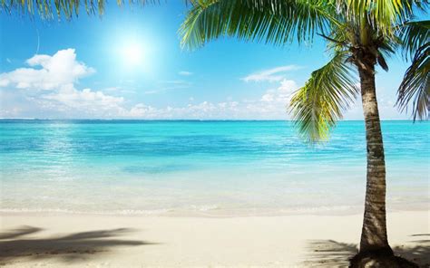 Tropical Scenes Wallpapers Top Free Tropical Scenes Backgrounds