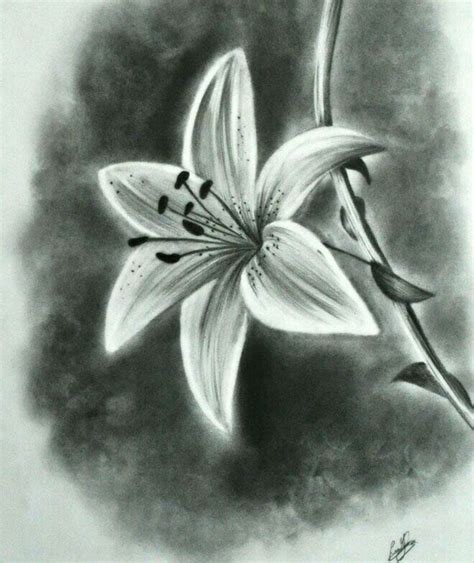 Realistic Drawings Of Flowers Pin By Jennifer Troxclair On Art