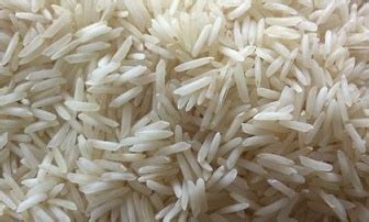 Our super select basmati rice give 2.5x times lamba in hindi, (elongation) result. 1509 Basmati Steam Rice | Wesderby India Private Limited ...