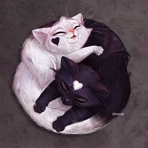 Yin Yang Kittens On Behance Yin Yang Art Yin Yang Animals Black And