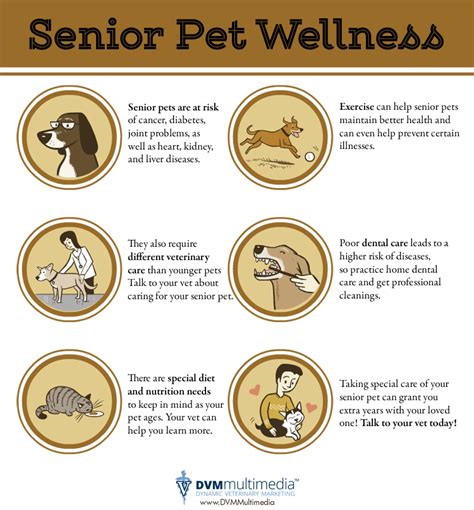 Senior Pet Care Information Heartland Animal Hospital