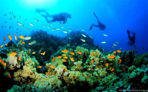 Scuba Diving Underwater Wallpapers Desktop Background