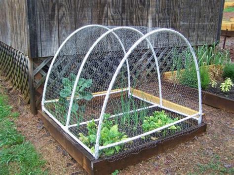 30 responses to how to build a raised vegetable garden. PVC Framed Garden Box Enclosures - Of Mice and Mountain Men Blog - GRIT Magazine