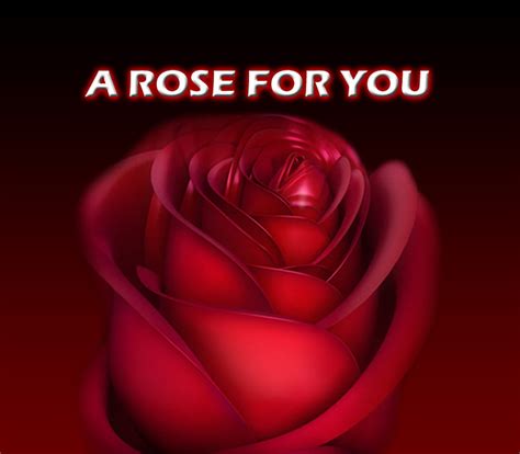 A Rose For You Rose Friendship Love Red Hd Wallpaper Pxfuel