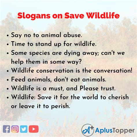 Slogans On Save Wildlife Unique And Catchy Slogans On Save Wildlife