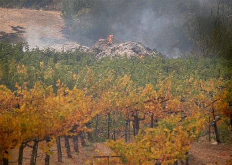Glass Fire 8 More Napa Valley Wineries Damaged Or Destroyed By Worst Fire In Region’s History