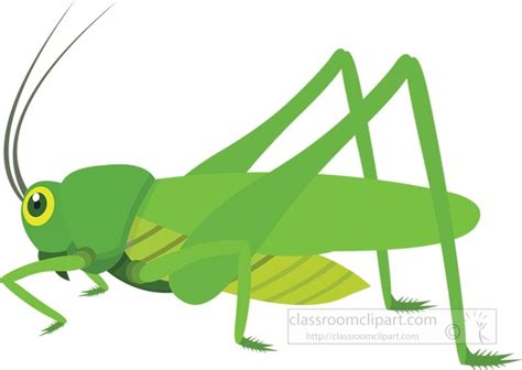 Grasshopper Clipart Colouring Grasshopper Colouring Transparent Free My Xxx Hot Girl