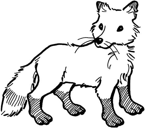 Free Coloring Pages Of Fox Drawings