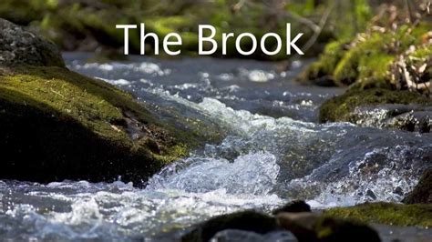 The Brook Youtube
