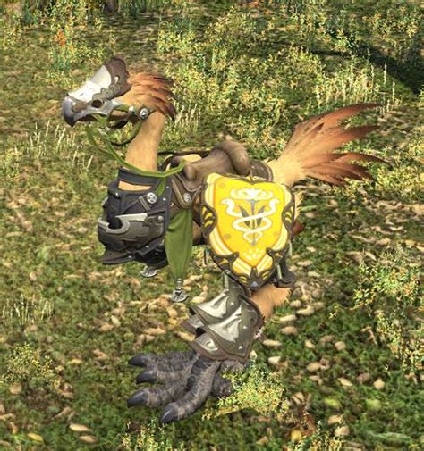 Ffxiv Chocobo Barding Guide Updated Patch Escuela Secundaria Kien Thuy
