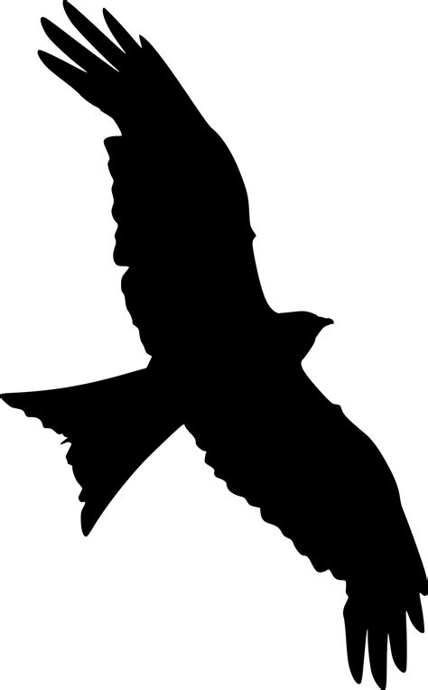 Peregrine Falcon Silhouette