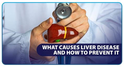 What Causes Liver Disease And How To Prevent It Unilab