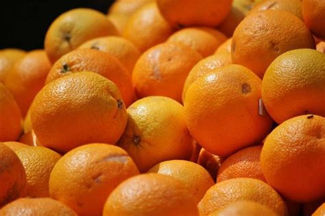 Fresh Citrus Naval Oranges Lemons Mandarins Valencia Orange Lime