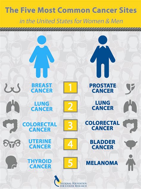 Most Common Cancer In Us 2017 Cancerwalls