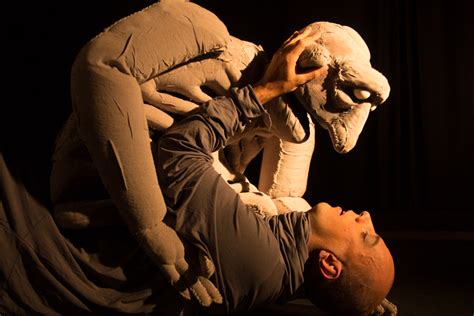 Quais São As Diferentes Modalidades De Teatro De Animação