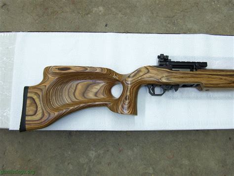 Ruger 22 Mag Semi Auto Rifle